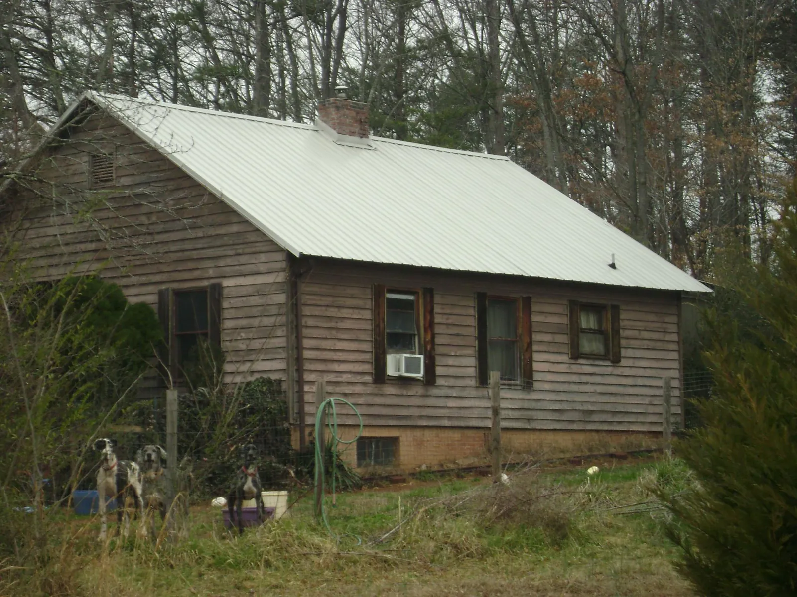 White metal roof on an old wood sided farmhouse, from a Asphalt Shingle Roof Repair job in Bluff City